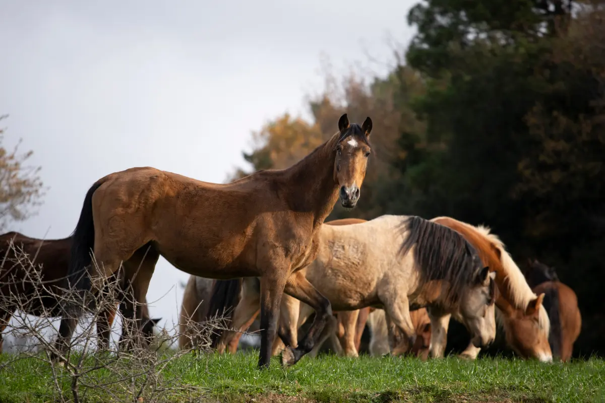 Mantenimiento y mejora 4