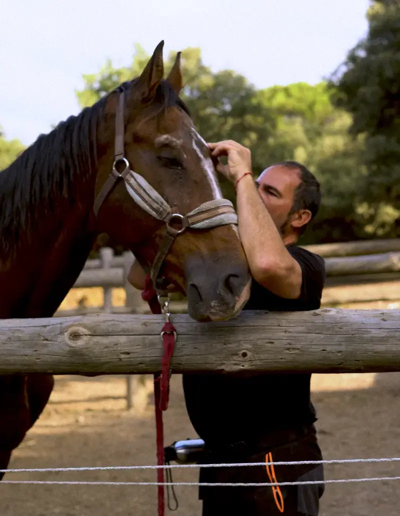 Mantenimiento y mejora 4