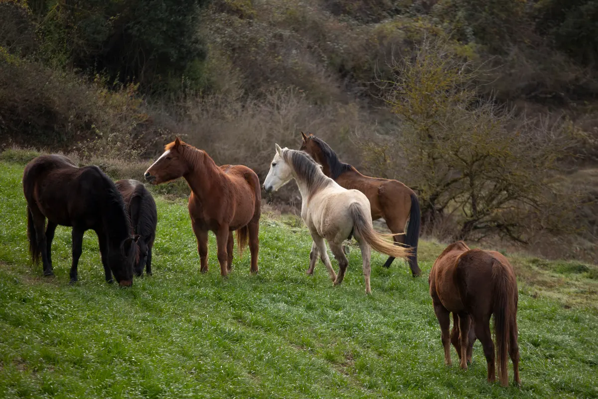 Mantenimiento y mejora 4