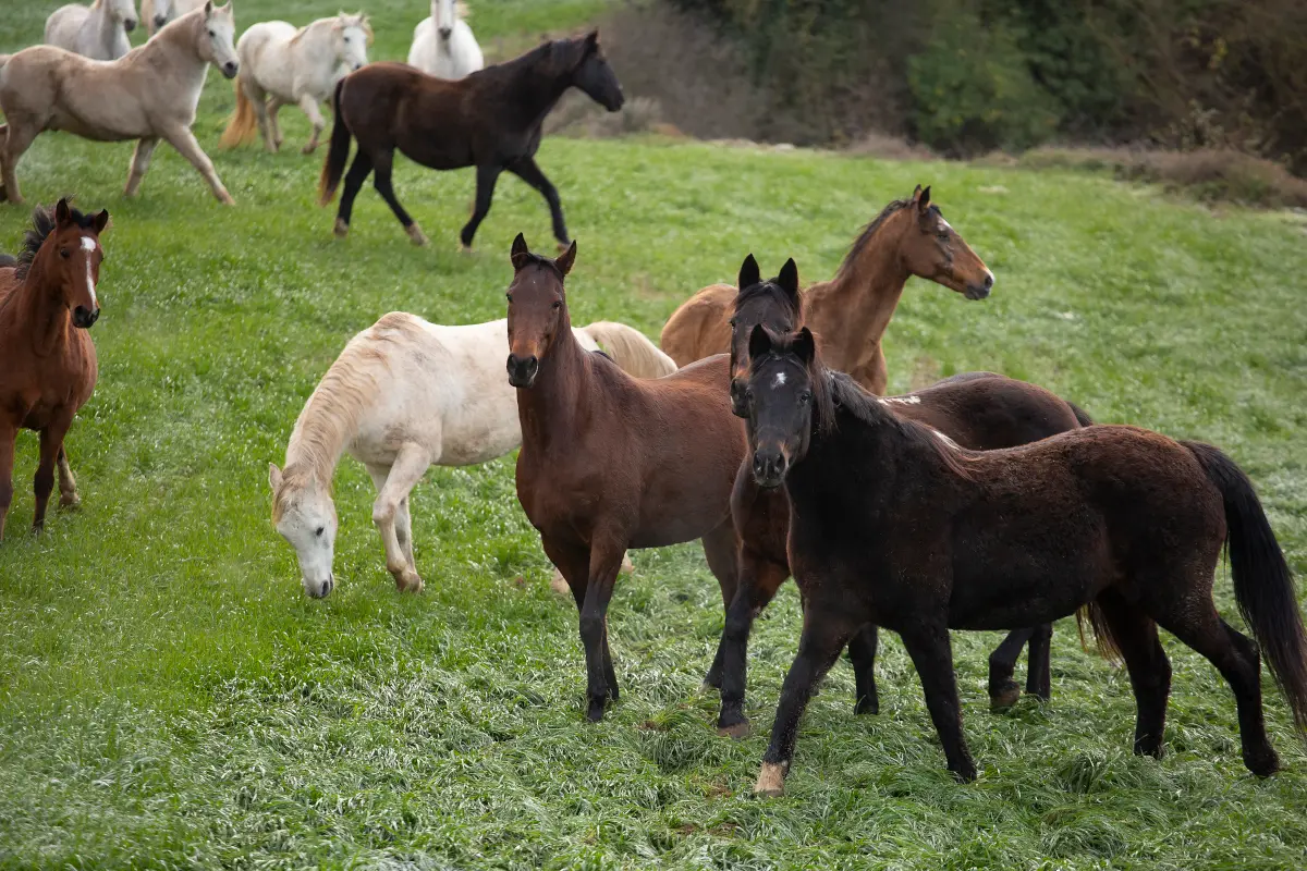 Mantenimiento y mejora 4