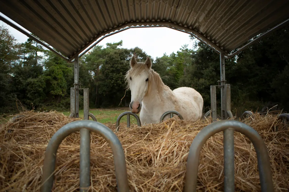 Mantenimiento y mejora 4