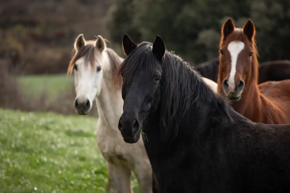 Mantenimiento y mejora 4