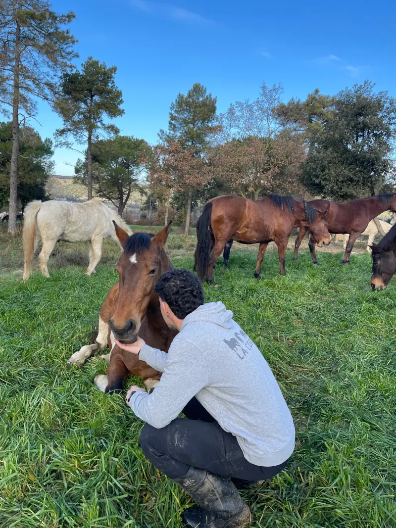 Mantenimiento y mejora 4