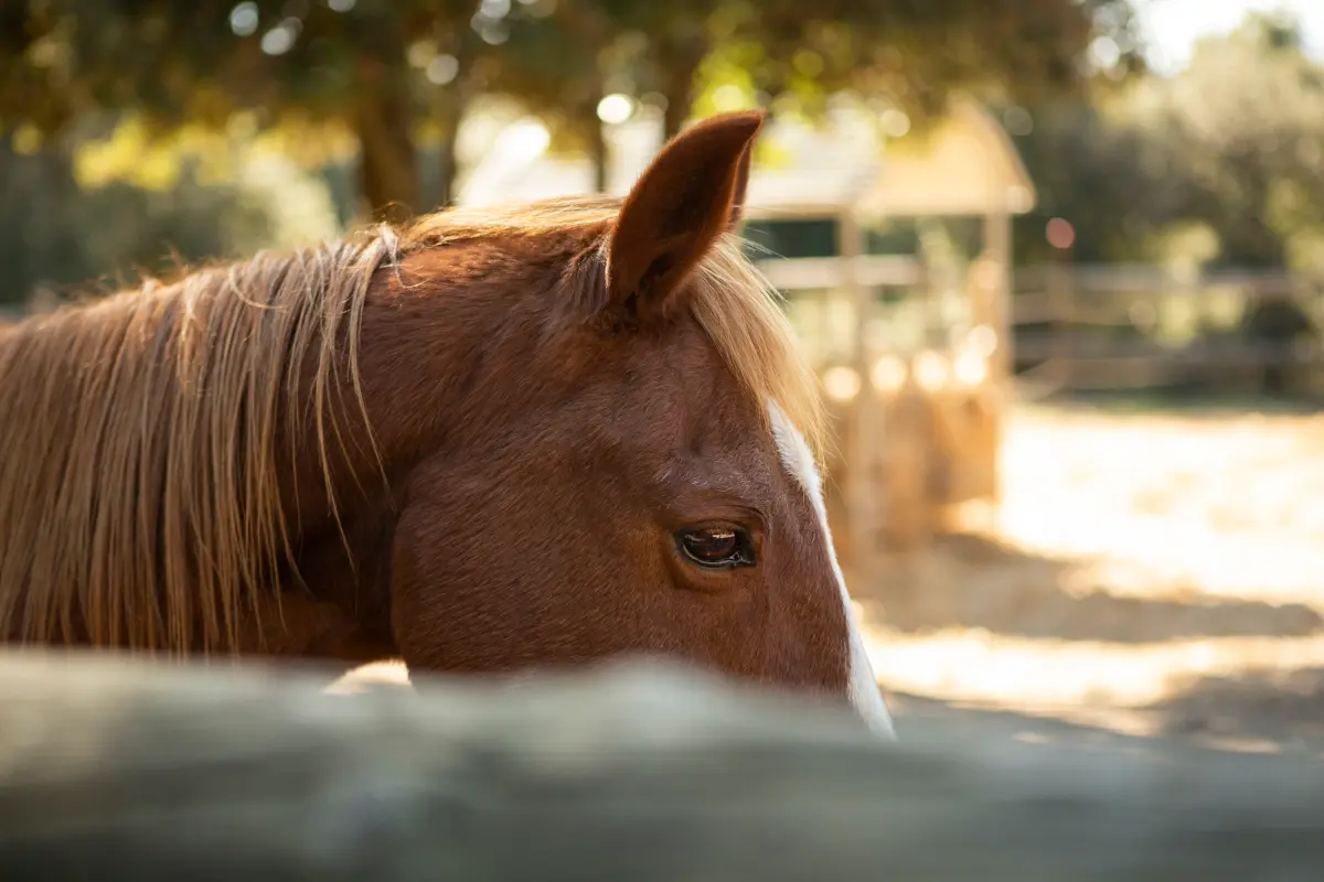 Mantenimiento y mejora 4