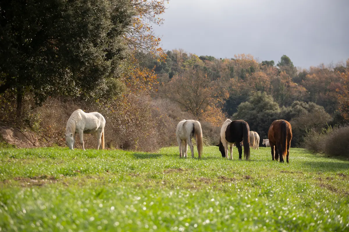 Mantenimiento y mejora 4