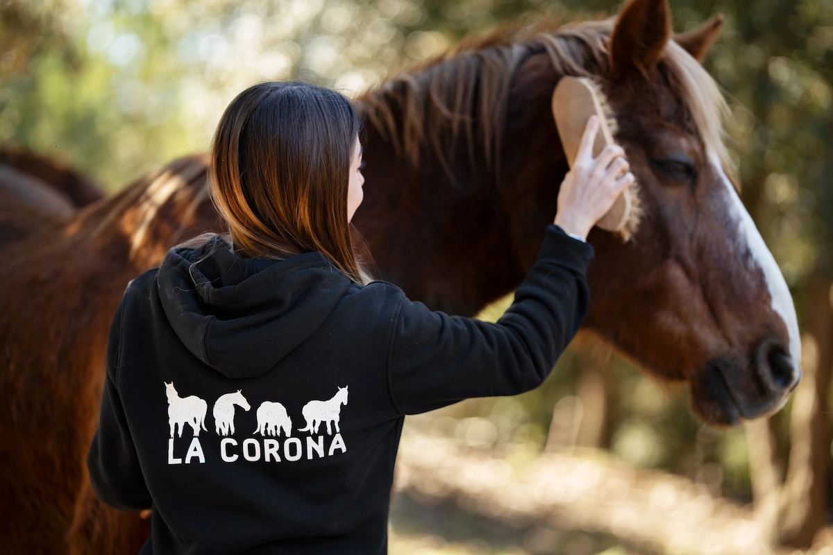Descanso del caballo