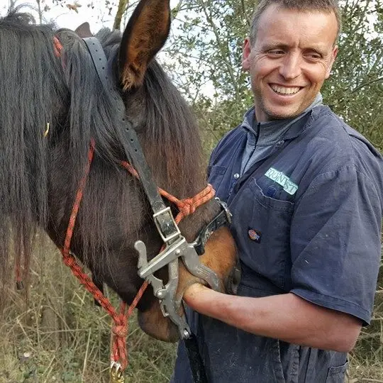 Dentiste équin lors d'une visite de suivi d'un cheval à La Corona