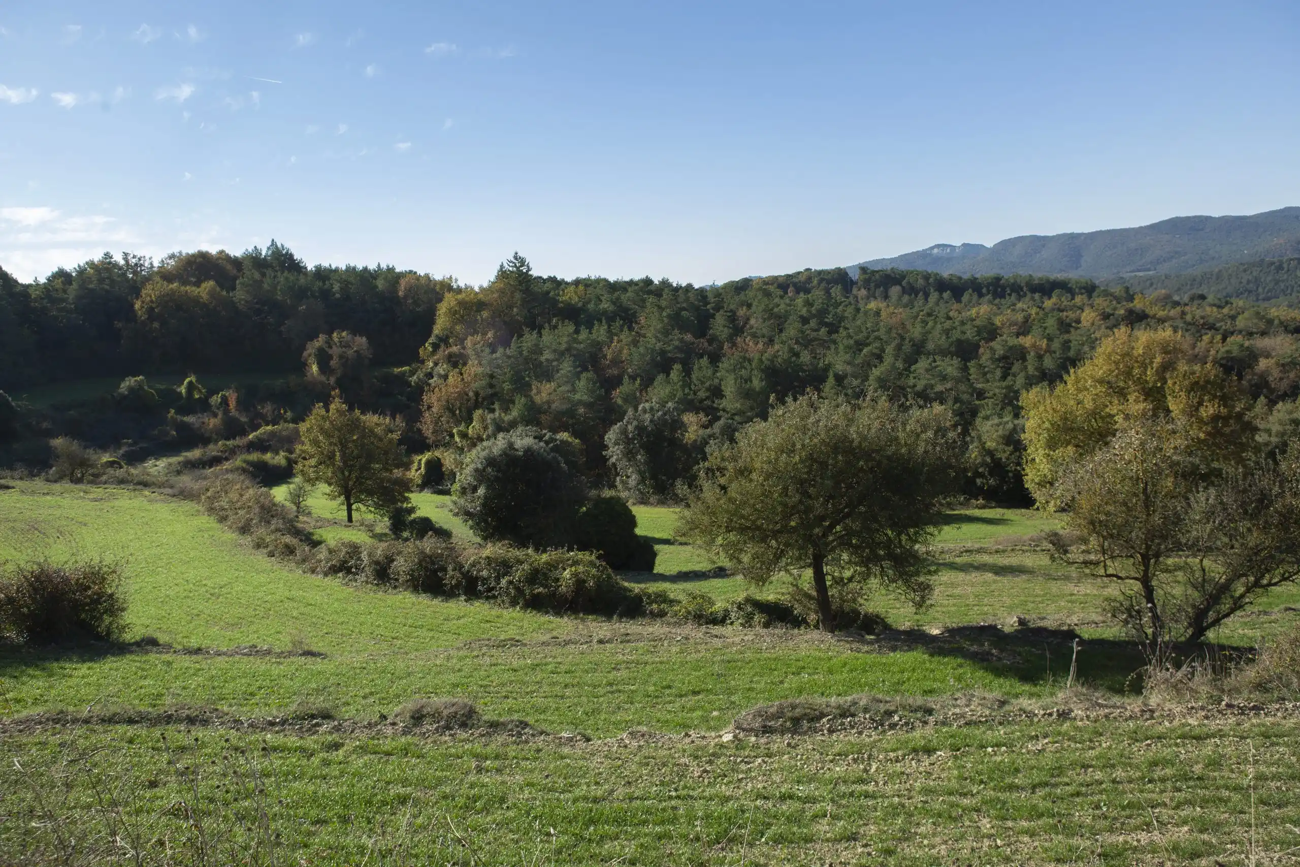 Vista dels espais naturals que formen part de l'entorn de La Corona Residència Equina