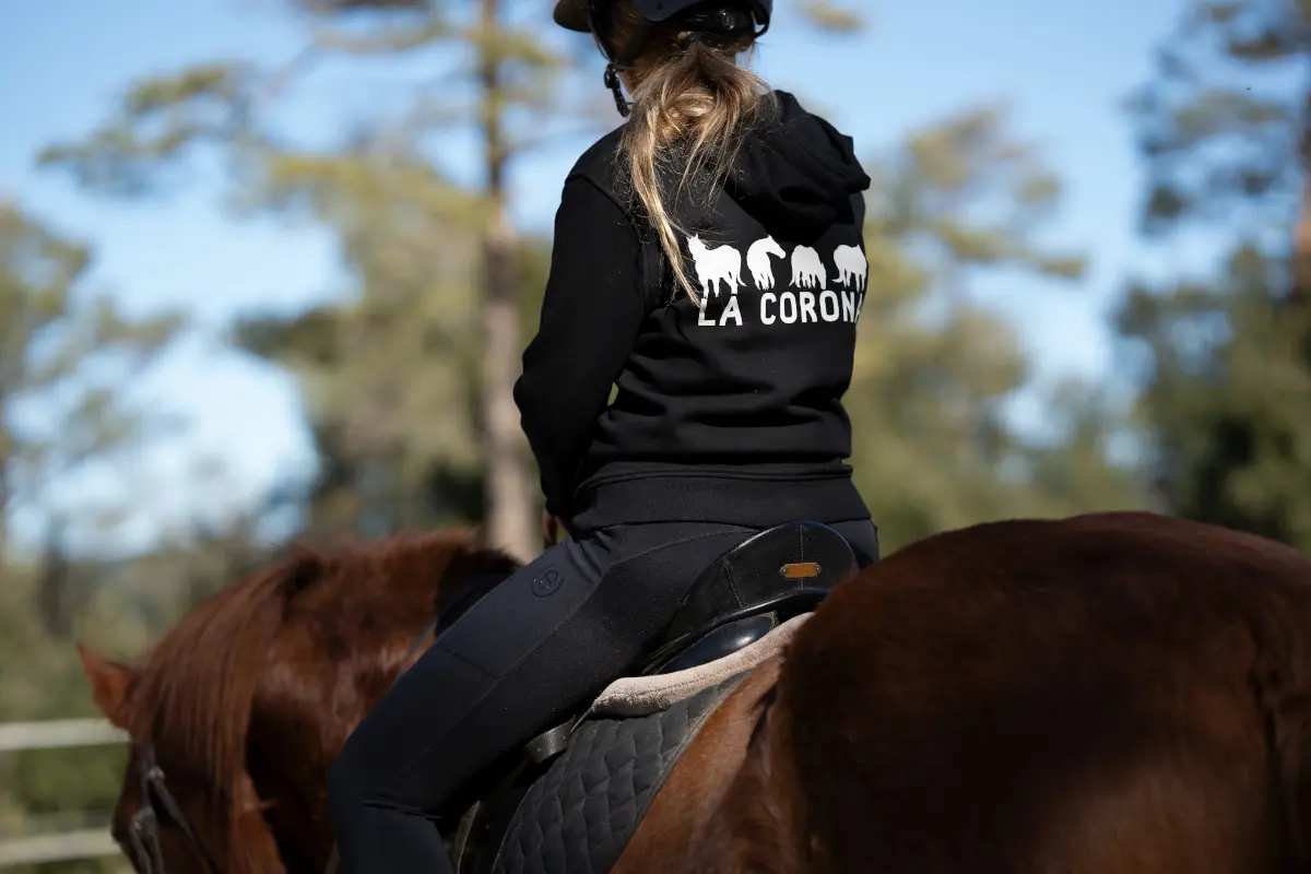 Personnel de La Corona travaillant avec un cheval arrivé à La Corona et ayant besoin de retrouver confiance Personnel de La Corona travaillant avec un cheval arrivé à La Corona et ayant besoin de retrouver confiance