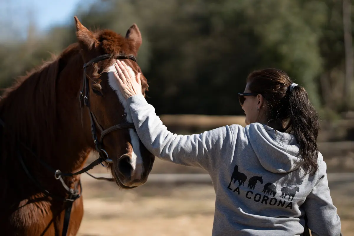 Técnica ecuestre acariciando la cabeza del caballo durante su entrenamiento Técnica ecuestre acariciando la cabeza del caballo durante su entrenamiento
