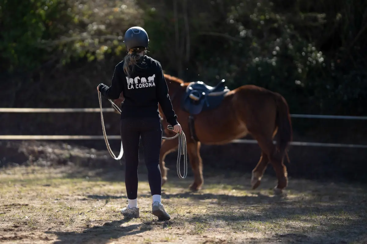 Horse during a fitness maintenance session without a rider at La Corona