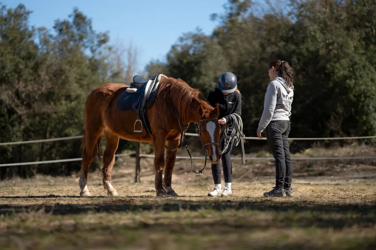 Sesión de mantenimiento de un caballo dirigida por la entrenadora ecuestre de La Corona